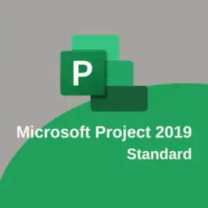 Project 2019 standard