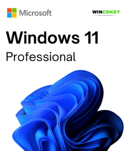 Windows 11 professional