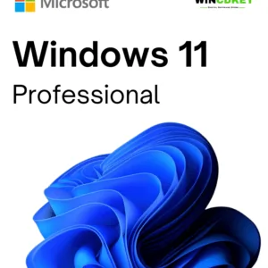 Windows 11 professional