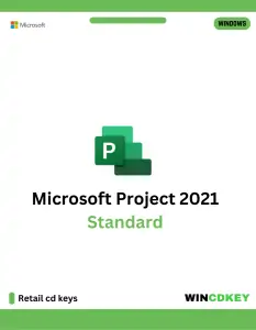 Project 2021 standard