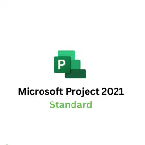 Project 2021 standard
