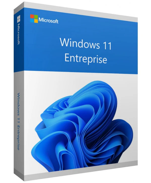 windows-11-entreprise-enterprise-64-bits Windows 11 Enterprise 50 pc - Image 1