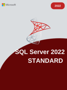 Sql server 2022 Standard