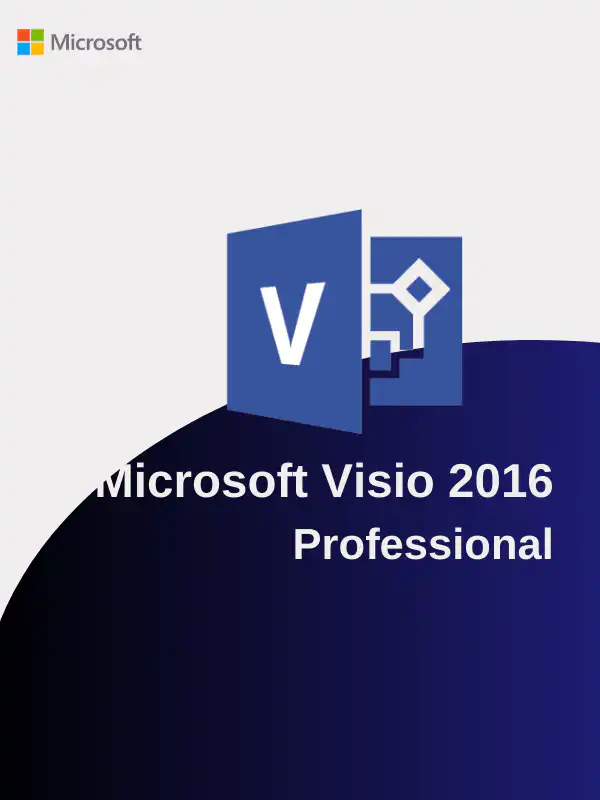 2022 (8) Visio 2016 professional