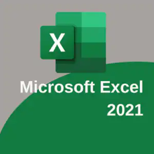Excel 2021