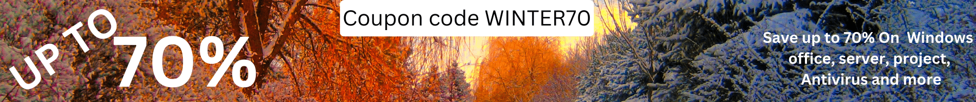 winter sale