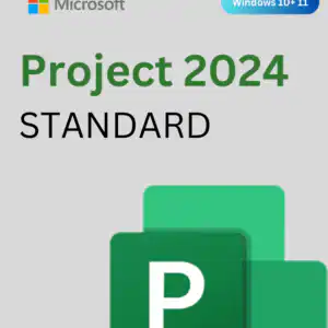 project 2024 stndard