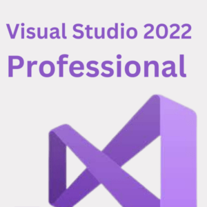 Visual studio 2022 Professional
