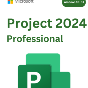 Project 2024 Professional