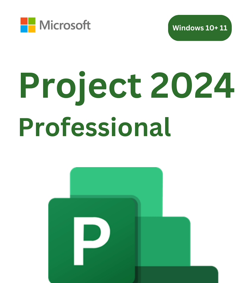 Project 2024 professional (4) Project 2024 Professional