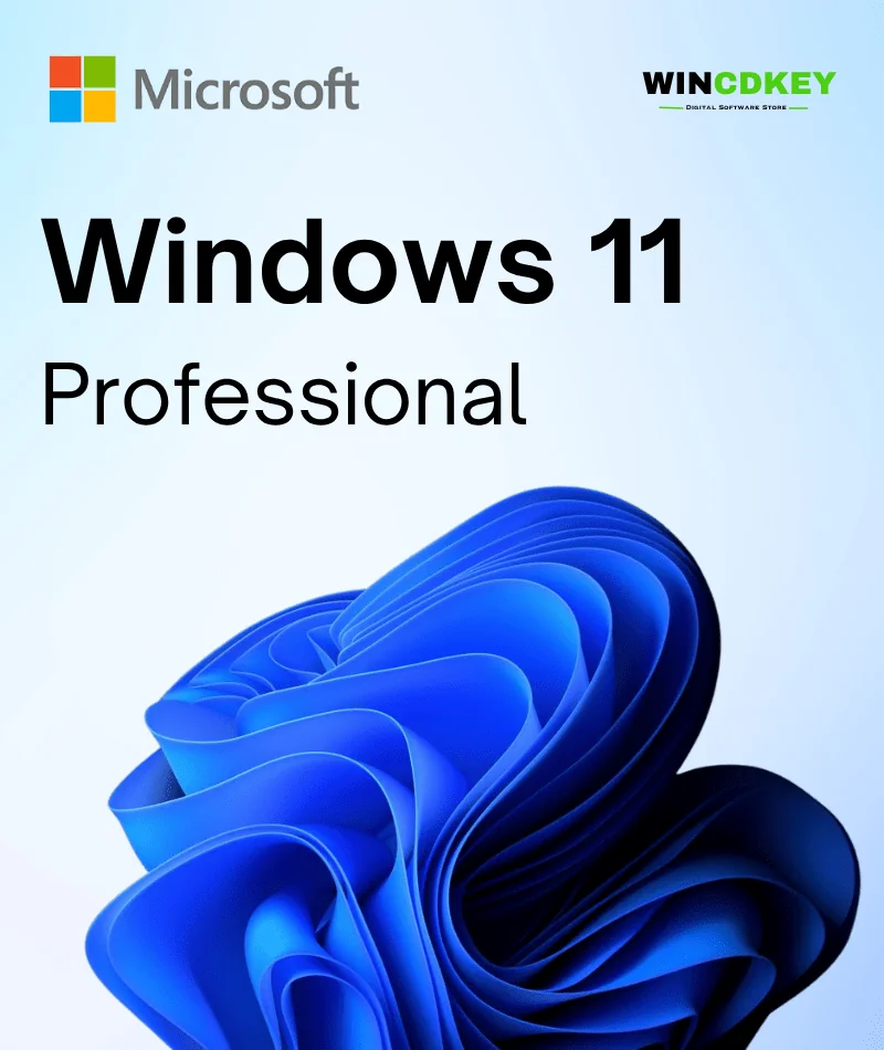 windows 11 professional