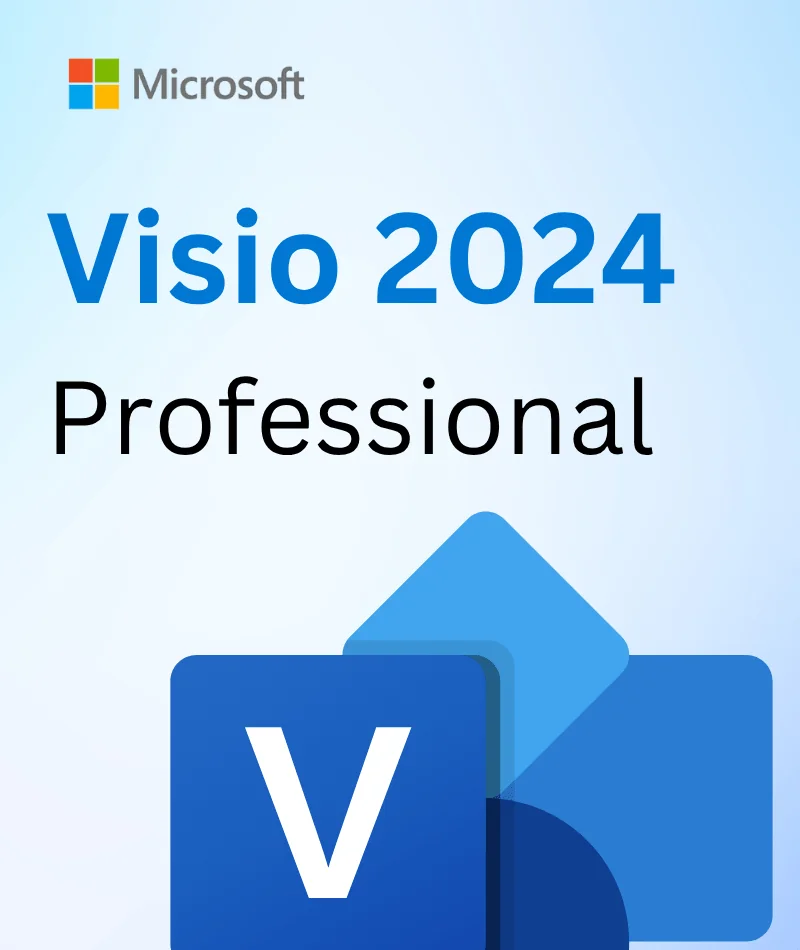 visio 2024 professional