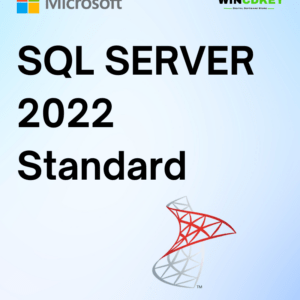 SQL Server 2022 standard