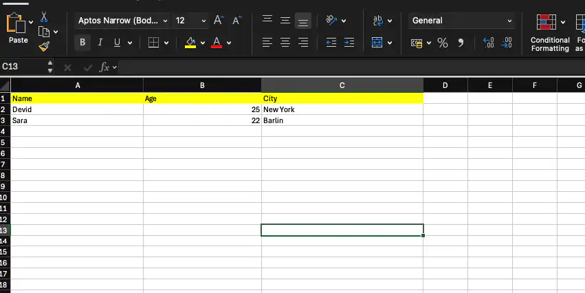 enter data in excel